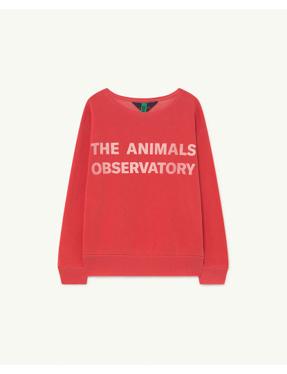 imagem de Bear Kids+ Tops Vermelho The Animals1