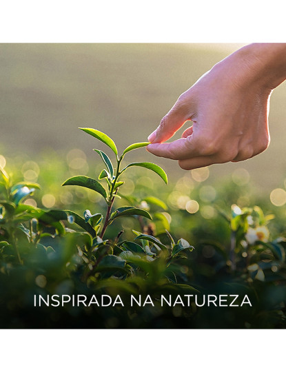 imagem de Airwick Botanica Ambientador Eléctrico Aparelho+Recarga Baunilha&Magnólia3