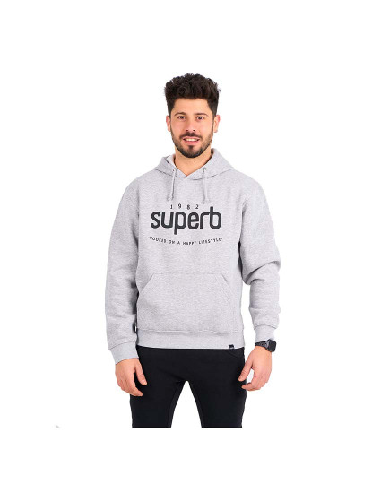 imagem de Sweatshirt Capuz Icon Homem Cinza1