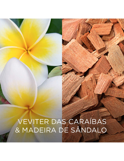 imagem de Botanica LE Rec Vetiver das Caraibas & Madeira Sândalo5