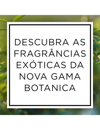 imagem de Airwick Botanica Aerosol Vetiver das Caraíbas2