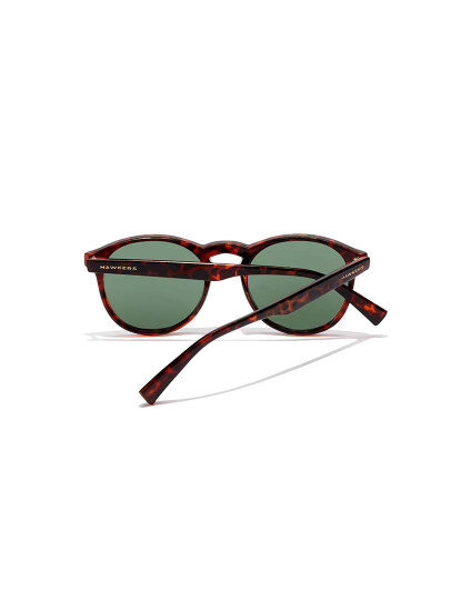 imagem de Bel Air - Polarized Carey Green4