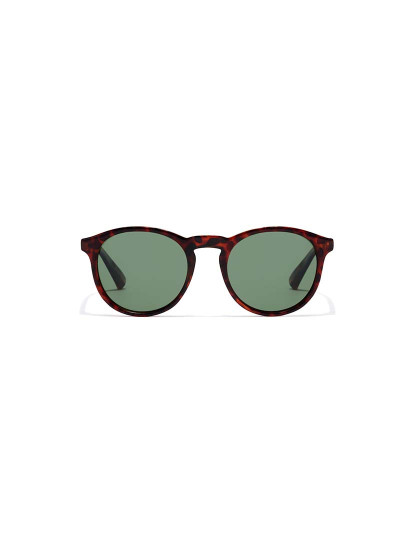 imagem de Bel Air - Polarized Carey Green2