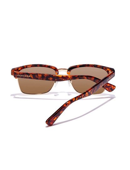 imagem de Classic Valmont - Polarized Carey Brown3