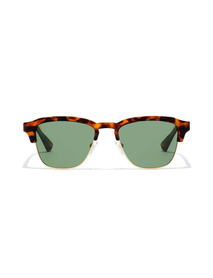 imagem de New Classic - Polarized Alligator1