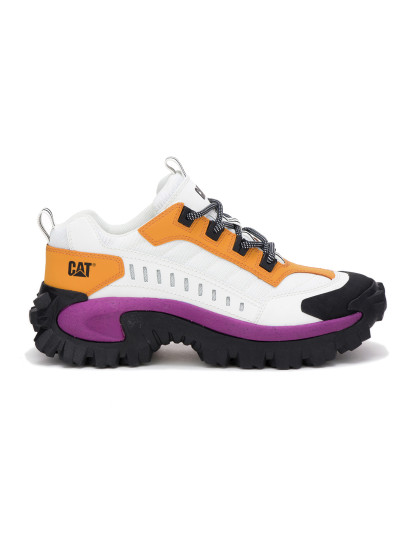 tenis cat
