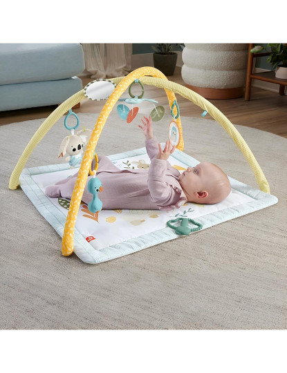 imagem de FISHER-PRICE GINASIO RECEM NASCIDO HRB154