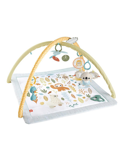 imagem de FISHER-PRICE GINASIO RECEM NASCIDO HRB152