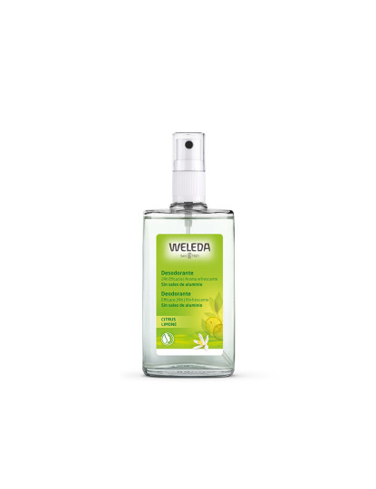 imagem de Deo Spray 24H Eficácia Citrus 100Ml1