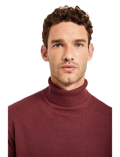 imagem de Pullover Homem Bordeaux3