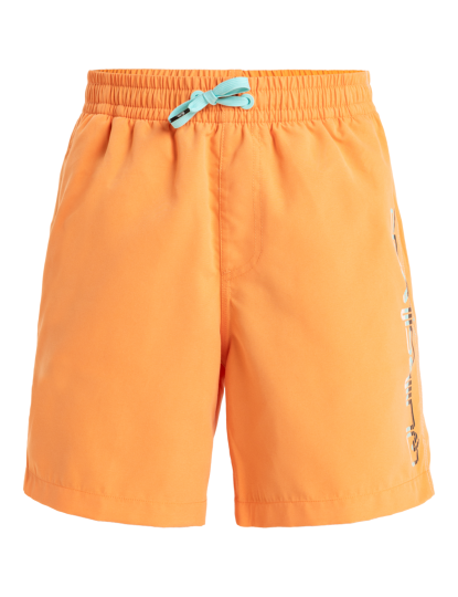 imagem de Boardshorts de Rapaz Laranja1