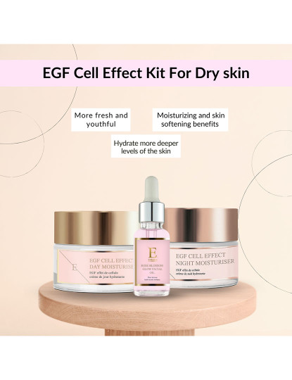 imagem de Hidratante de dia EGF Cell Effect + Hidratante de noite EGF Cell Effect + Óleo facial de flor de rosa 30ml3