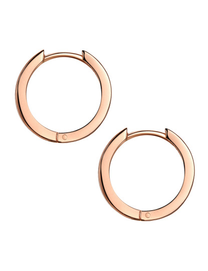 imagem de Brincos Prata de lei Rosa Dourado2