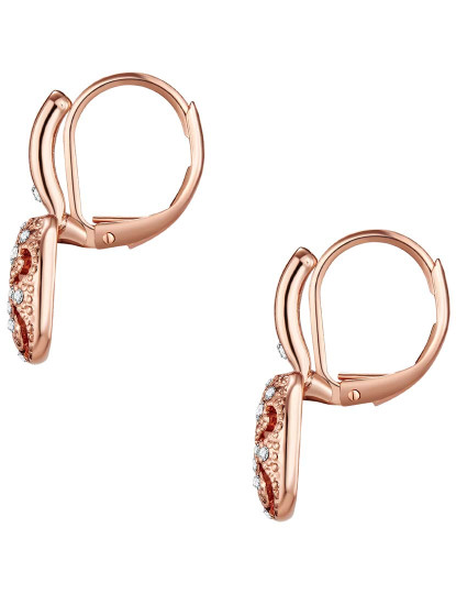 imagem de Brincos Metal com Cristais Swarovski Dourado Rosa2
