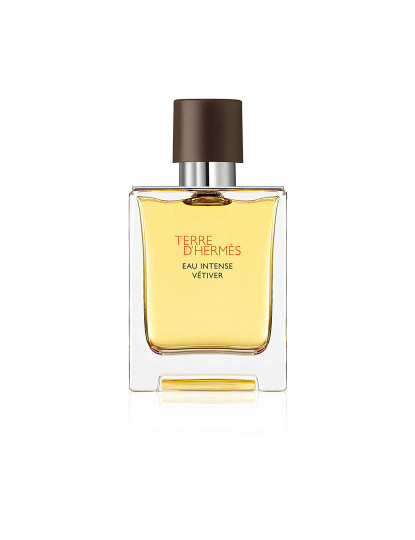 imagem de Terre D'Eau Intense Vetiver Eau de Parfum1