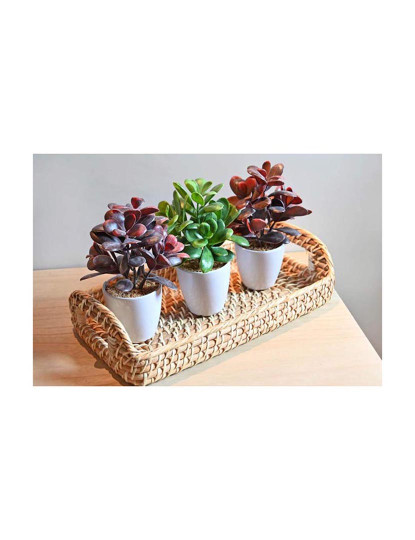 imagem de Bandeja de Rattan 35X19X8 Natural2