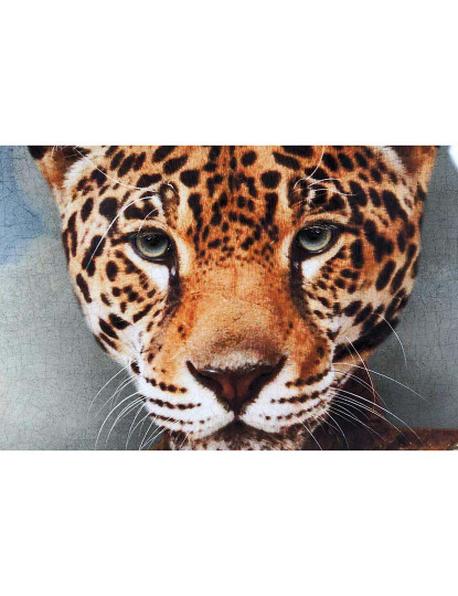 imagem de Quadro Leopardo Moldura 3