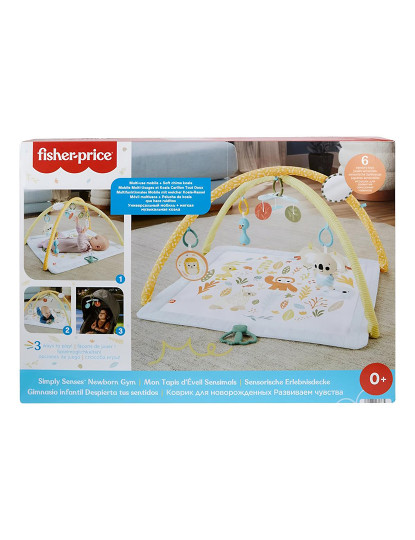 imagem de FISHER-PRICE GINASIO RECEM NASCIDO HRB151