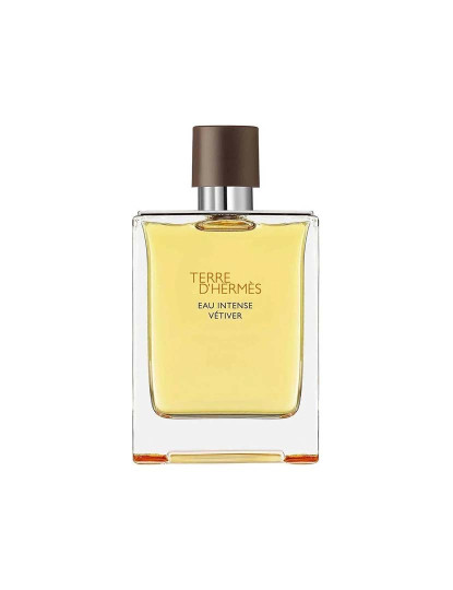 imagem de Terre D'Hermès Eau Intense Vétiver Eau De Parfum Spray 200 Ml1