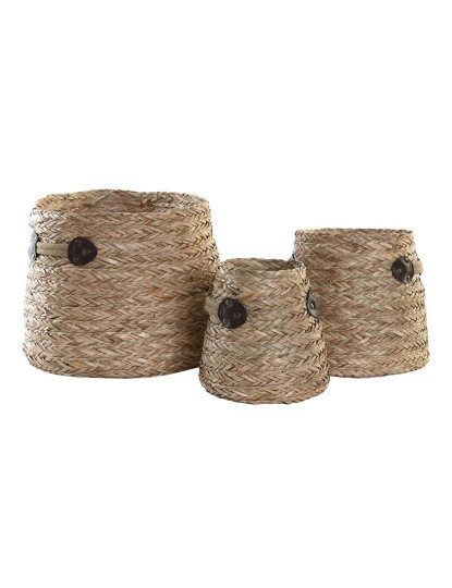 imagem de Conjunto Cestas 3 Seagrass Natural 2