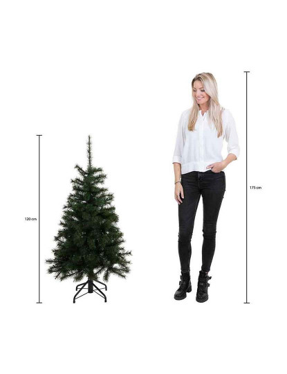 imagem de Árvore De Natal Caixa Preta Trees Foscagem 4