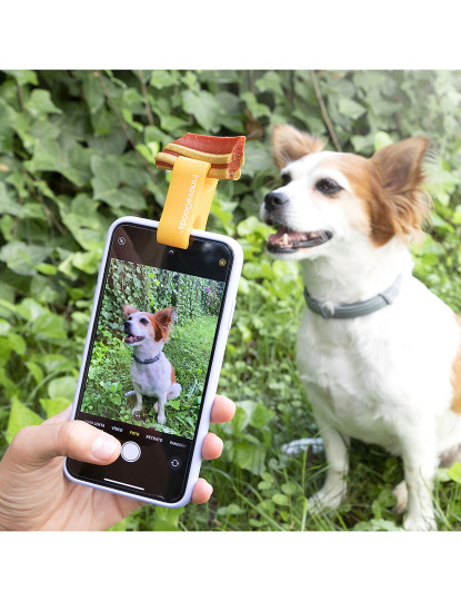 imagem de Clipe de Selfies para Animais de Estimação Pefie InnovaGoods1