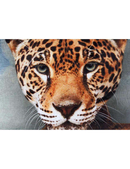 imagem de Quadro Leopardo Moldura 3