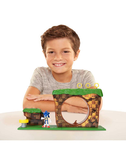 imagem de Sonic Playset Green Hill Zone 126227/4039344