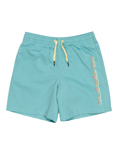 imagem de Boardshorts de Rapaz Azul1