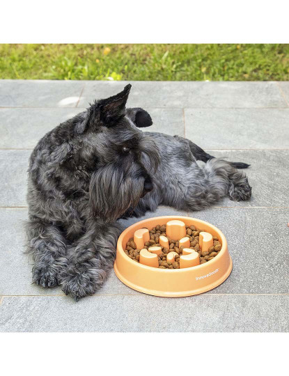 imagem de Comedouro de Alimentação Lenta para Animais de Estimação Slowfi 1