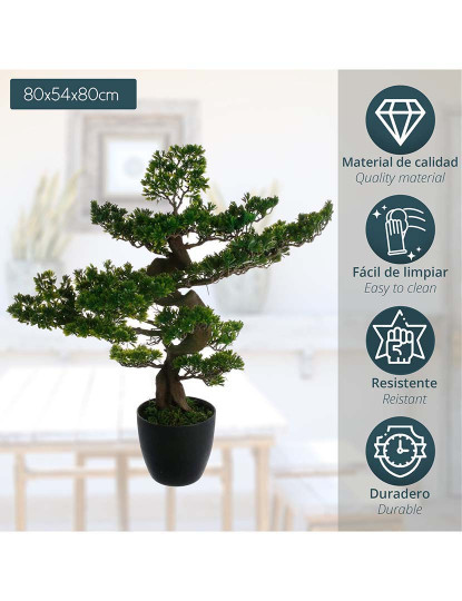 imagem de Bonsai Artificial2