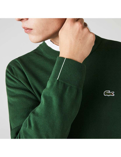 imagem de Camisola de algodão orgânico com gola redonda Homem Vert7