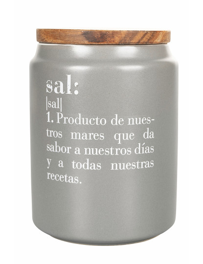 imagem de Saleiro Victionary Spanish1