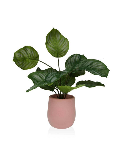 imagem de Planta Decorativa Versa 15 x 44 x 15 Cimento Plástico1