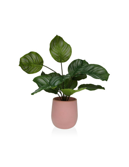 imagem de Planta Decorativa Versa 15 x 44 x 15 Cimento Plástico2