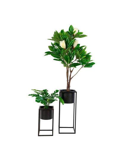 imagem de Marla Vasos Preto4