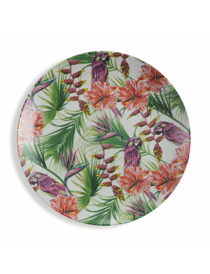 imagem de Conjunto 6 Pratos Fruta Selva Multicolor4