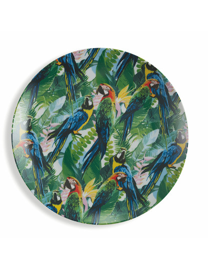imagem de Conjunto 6 Pratos Fruta Selva Multicolor5