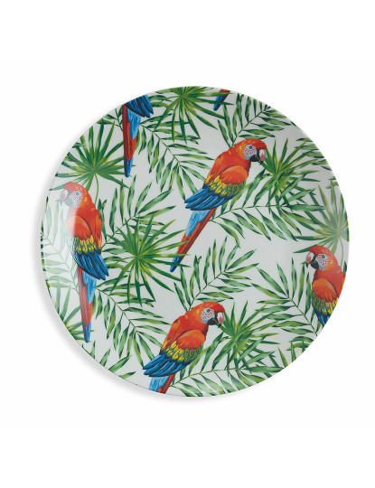 imagem de Conjunto 6 Pratos Fruta Selva Multicolor7