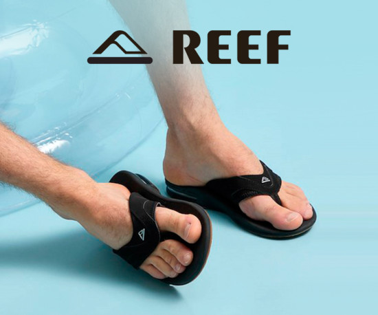 Reef - Novidades!