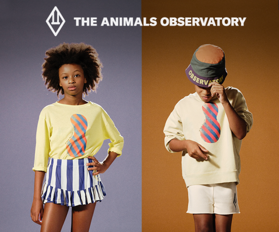 The animals Observatory
